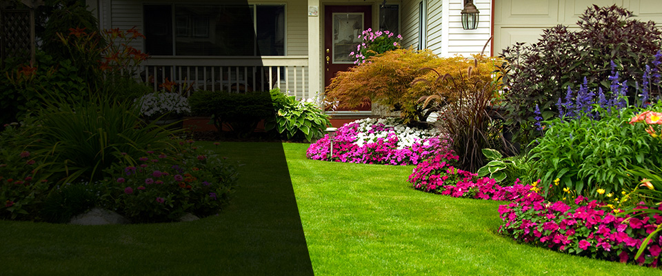 Tuscumbia Landscapers