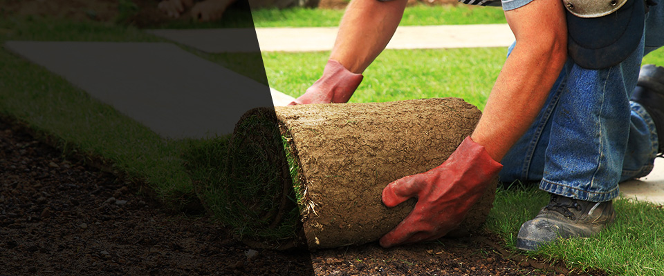 Tuscumbia Landscapers